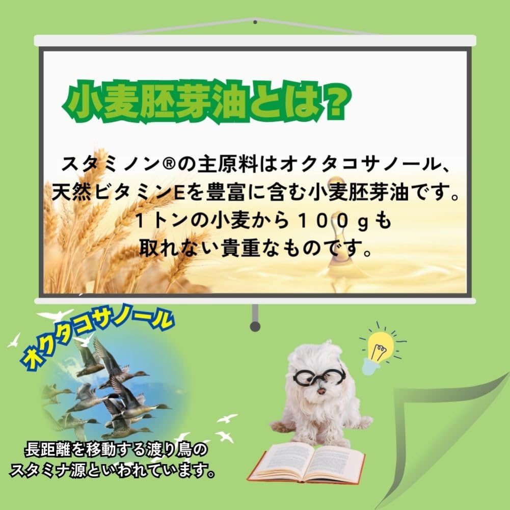 Amazon.co.jp: チョイスプラス スタミノン 関節ケア 40g 犬 : ペット用品
